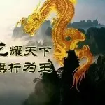来陪猪婆