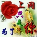 @小帅帅@拒绝游戏@