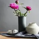 雨后阳光x3