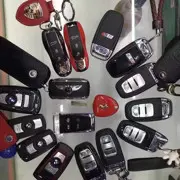 腾虎跃