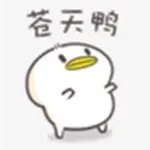 倦鸟🐤