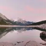 山成峰，木成林