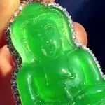 翡翠玩家小宝
