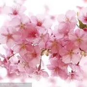 昵称违规，请重新修改