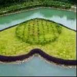 为你天晴x