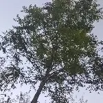 zgz2580