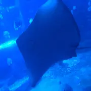 ∝〃浅沫❀