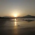 离开水的鱼1213