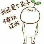 Ss静静