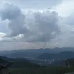伟哥专属舞资