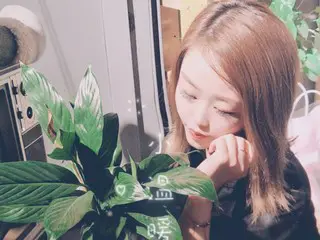 猪嘛呢，干嘛呢的主播照片