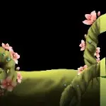 来了老弟@