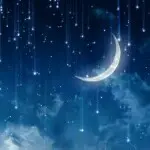 月影幽冥虎
