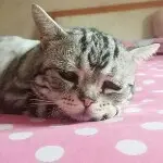 呵呵哒hh