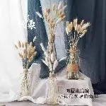 杉杉欧尼