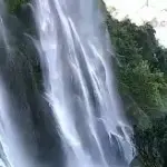 寻寻开心别当真