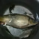 野钓老头
