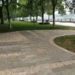 ﾉﾉﾉ