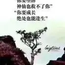小莫rb