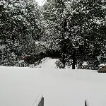 香川之恋