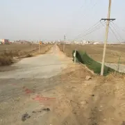庸人..