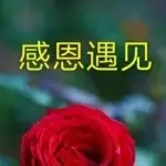 DM米粒