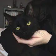 悄悄ㅤㅤㅤㅤ