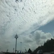 叫什么名字好，，
