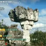 痴情小和