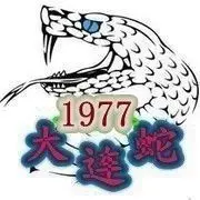 大连蛇