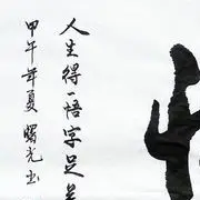 踏浪//而来