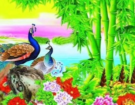 男神（五哥）主播照片