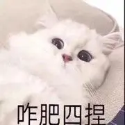 可可。.