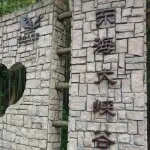 含情默默3