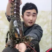 八爪鱼哥(海鲜电商)