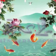 🍀绿柠有事暂时停播