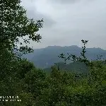 刀来米发