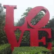 “绿豆蛙”