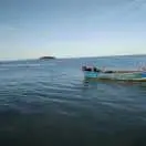 春风的岁月