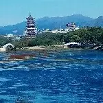 无名85983