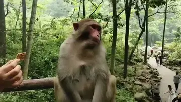 👍