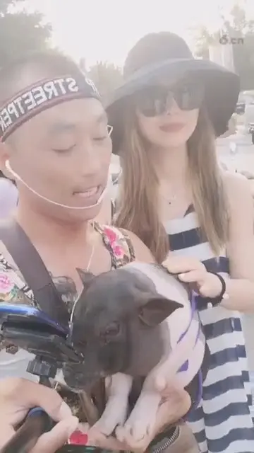 不五间房不是七间房而是美女直播间
