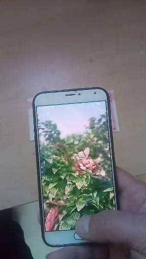 真假钱变认