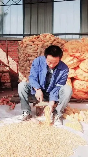 搓新玉米，卖玉米碴啦