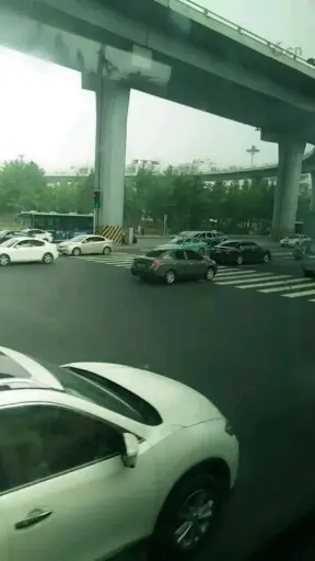 大早上好多车 大连就是车多