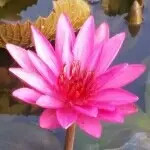 請叫我英俊