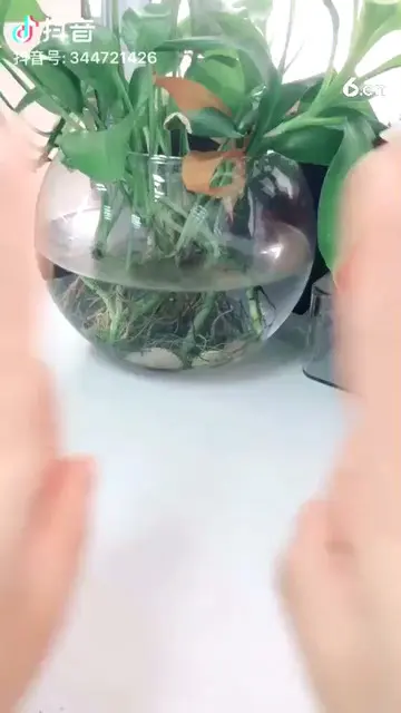 再来一个