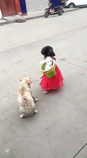 谁家的姑娘走的忙