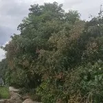 贰叔公
