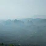 鱼上岸了会怎样